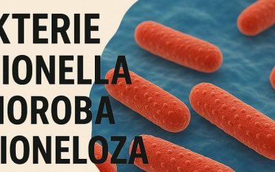 LEGIONELOZA - INFORMACJA POWIATOWEJ STACJI SANITARNO - EPIDEMIOLOGICZNEJ W CHOJNICACH