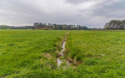 DOTACJE DLA SPÓŁEK WODNYCH