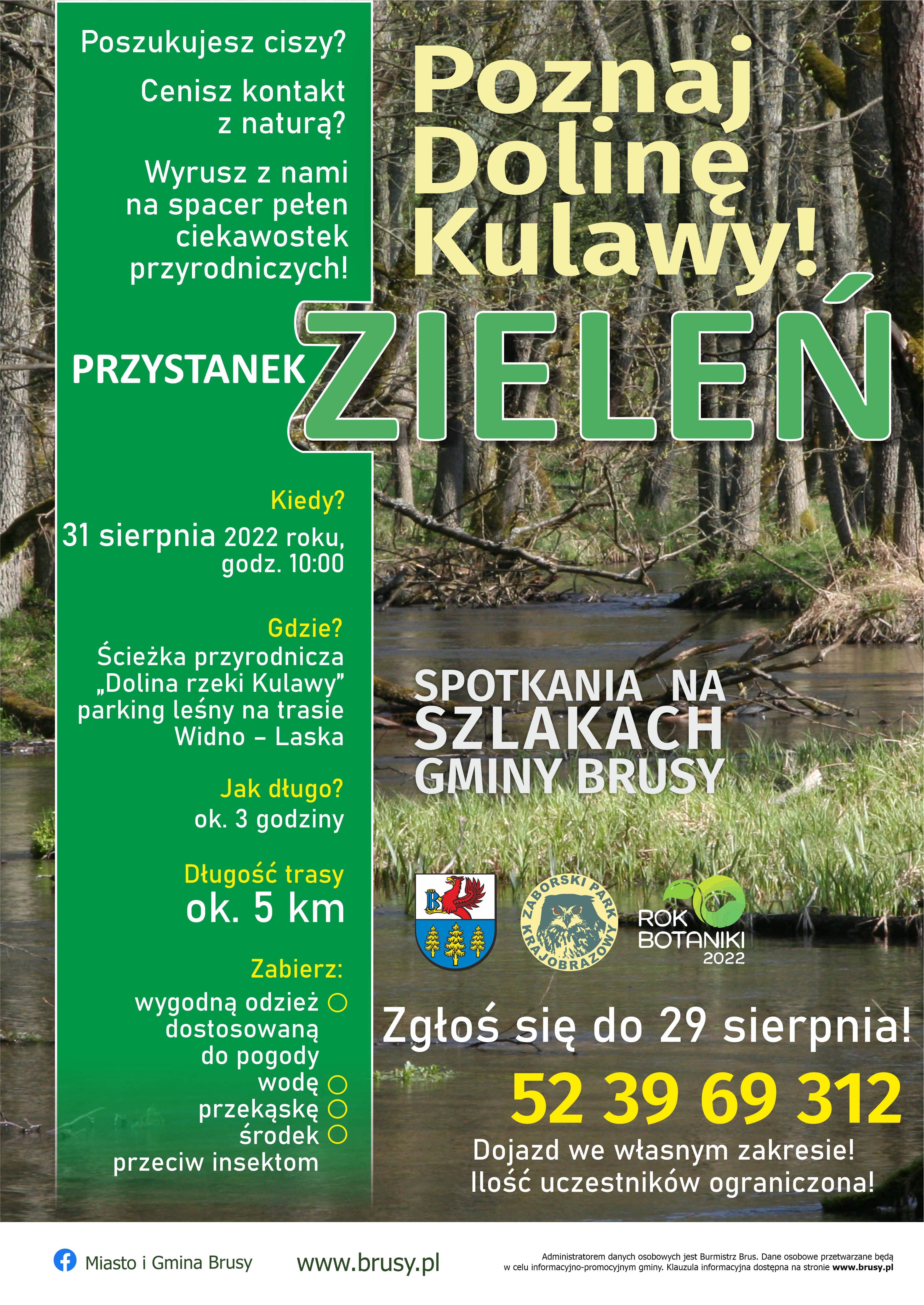 31_SIRPNIA_2022_-_dolina_Kulawy_plakat.jpg