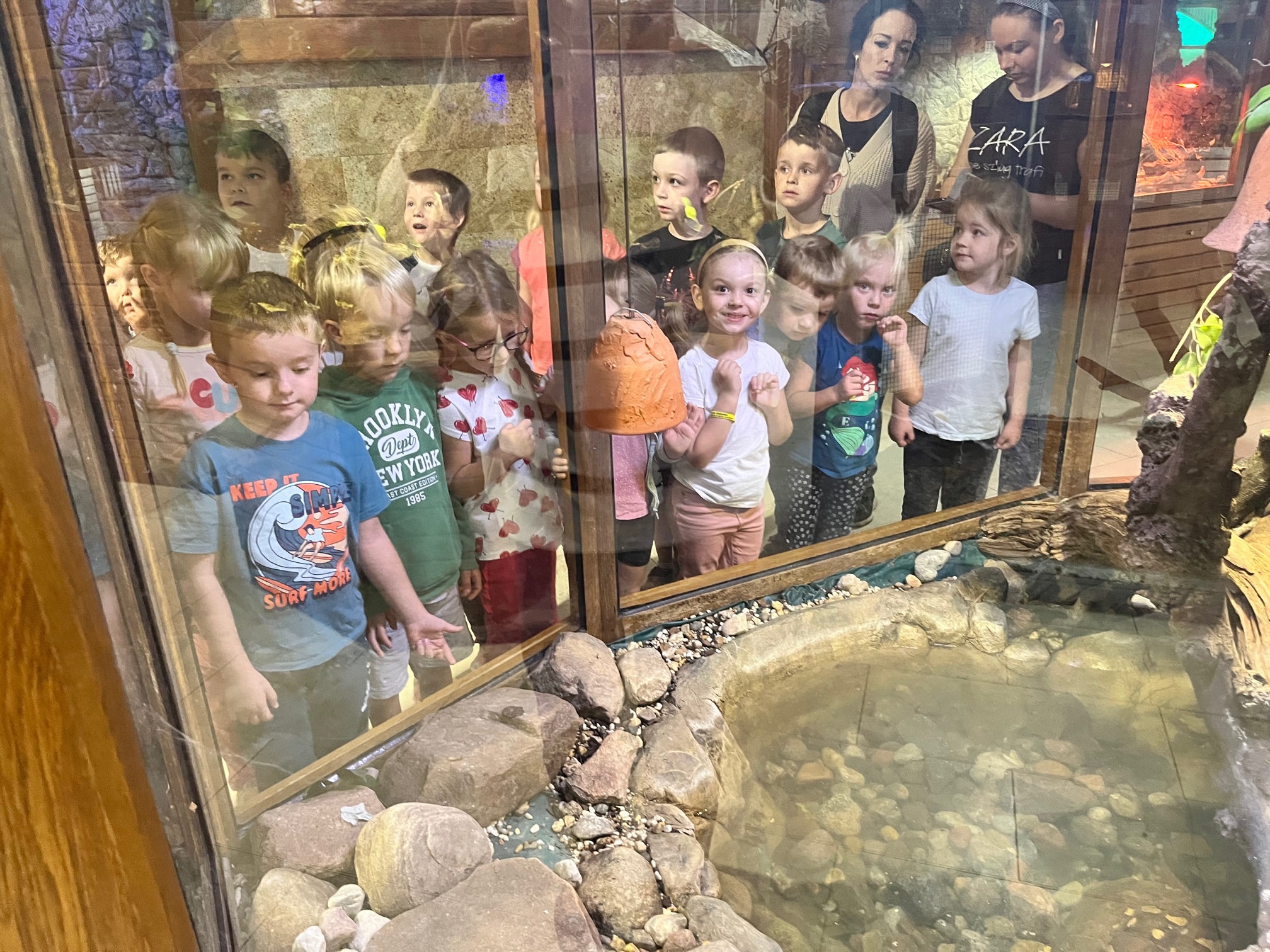 ZOO8