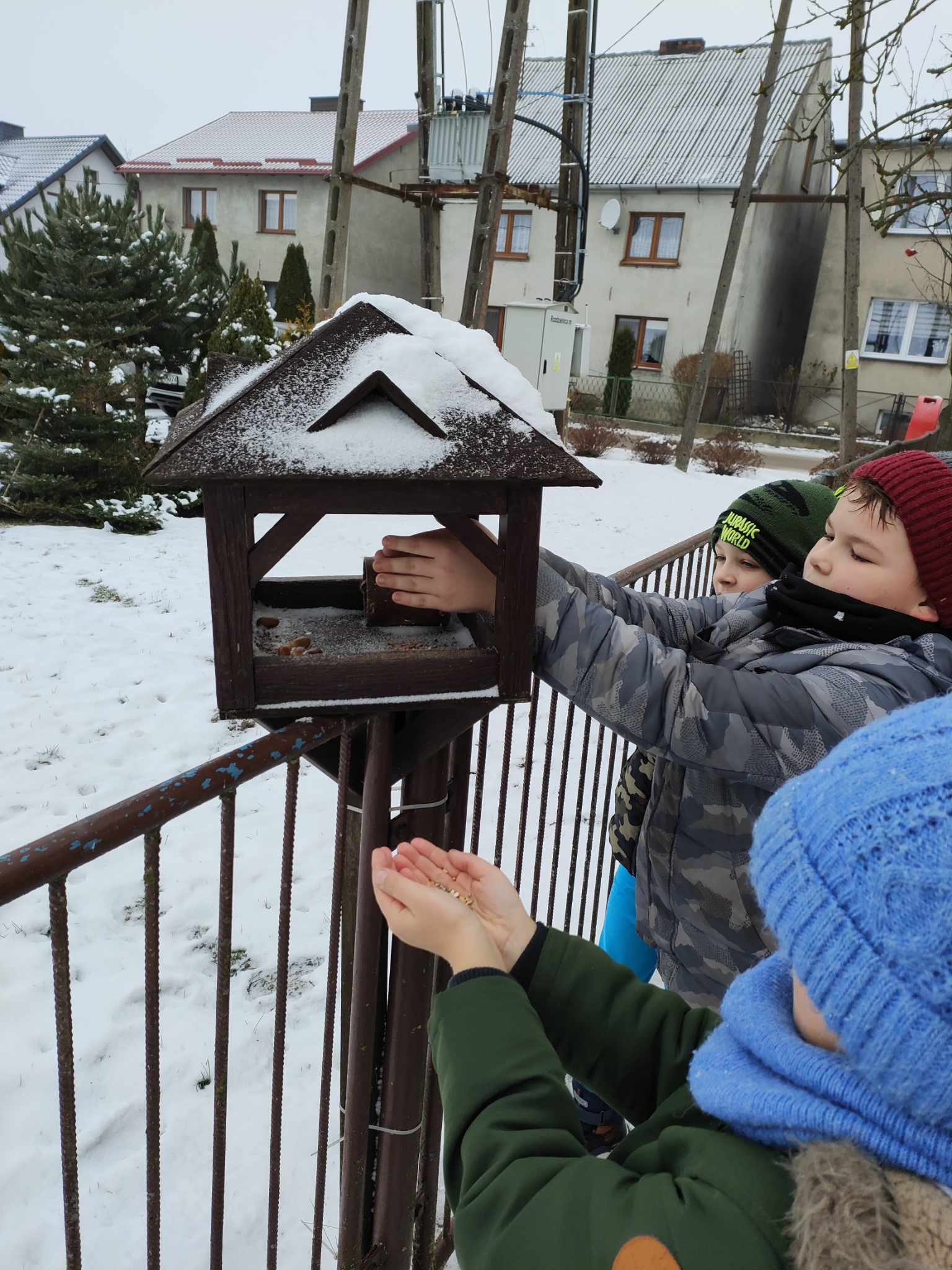 czapiewice_ptaki_3.jpg