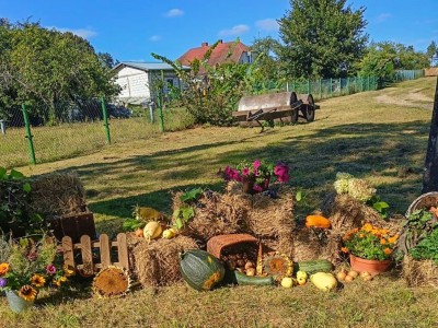Sołectwo Skoszewo