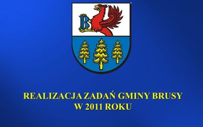 REALIZACJA ZADAŃ W 2011 ROKU