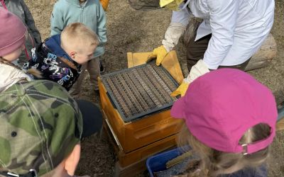 SP W CZAPIEWICACH: Wyjazd edukacyjny do Wielkich Chełmów
