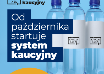 SYSTEM KAUCYJNY W POLSCE - PRZYPOMINAMY SZCZEGÓŁY