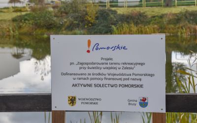 ZAGOSPODAROWANIE TERENU REKREACYJNEGO PRZY ŚWIETLICY WIEJSKIEJ W ZALESIU