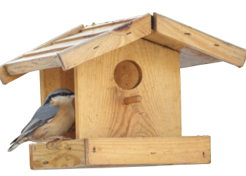 KONKURS NA RODZINNY KARMNIK DLA PTAKÓW